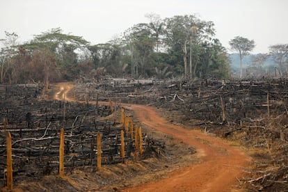 Cumbre del clima Colombia