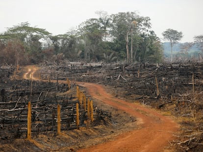 Una carretera ilegal hecha durante la deforestación de los llanos del Yarí, en Caquetá (Colombia), en 2021.