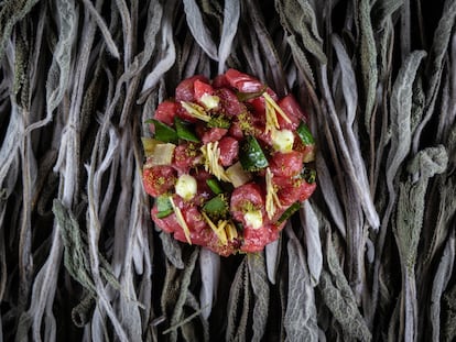 Tartar de vaca y abeto, con cerraja, romaza, acedera y crucíferas picantes, receta del interior de 'Silvestre', de Basque Culinary Center (Editorial Planeta Gastro).