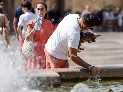 Una mujer bebe agua mientras un hombre trata de refrescar a su perro en una fuente en el centro de la ciudad de Valencia.