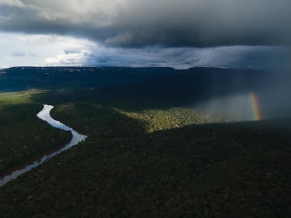 La Serranía de Chiribiquete (Colombia), área natural protegida que almacena 454 millones toneladas de carbono solo en la copa de sus árboles.