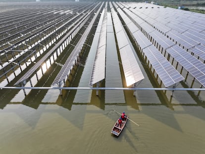 Trabajadores de una planta fotovoltaica y piscifactoría en Suqian, China, la semana pasada.