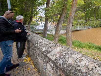 Un árbol caído sobre una de las pasarelas del río Duero, el pasado miércoles en Soria.