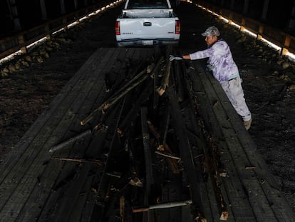 Un trabajador migrante de Veracruz (México), trabaja en una granja en Kentucky, el 12 de marzo.