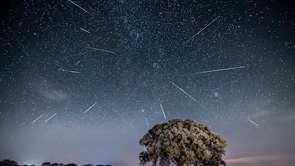 Lluvia de estrellas, el 12 de agosto de 2023.