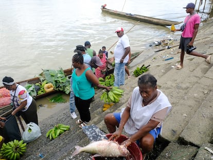 Una mujer venden pescado a los comerciantes locales a orillas del río Atrato en Quibdo , Colombia. En enero de 2023.