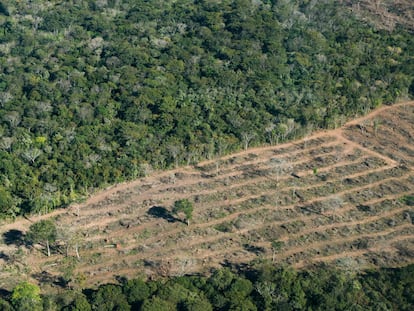 Deforestación en el Estado brasileño de Mato Grosso do Sul.