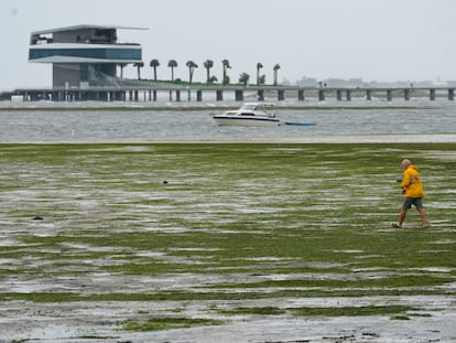 El agua retrocedió también en Tampa en 2022, tras el paso del huracán Ian.