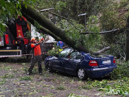 Un operario trabaja en la retirada de un árbol caído sobre un coche en el campus universitario de Santiago, este miércoles.