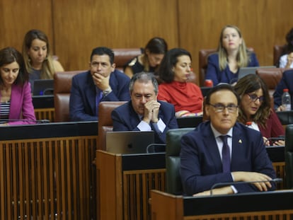 El secretario general del PSOE-A, Juan Espadas, en la parte central de la foto, durante un pleno del Parlamento andaluz.