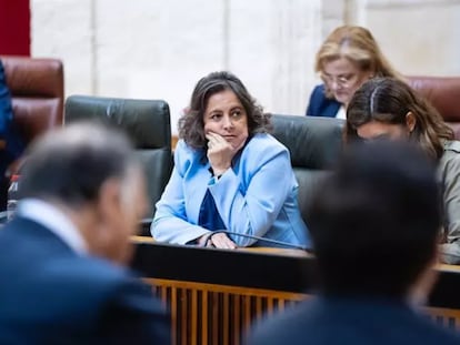 La consejera andaluza de Salud, Catalina García, durante el pleno en el que se solicitaba su reprobación. / EP