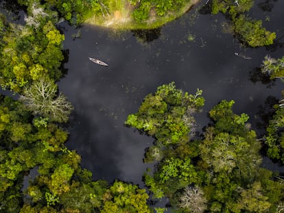 Vista aérea de la selva amazónica uno de los reservorios más importantes del mundo en Leticia, Colombia, en abril de 2023.