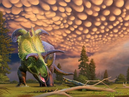 Reconstrucción artística de la nueva especie 'Lokiceratops rangiformis'.