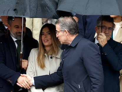 El líder de Vox, Santiago Abascal, y el presidente del PP, Alberto Núñez Feijóo, se saludan durante desfile del Día de la Fiesta Nacional.