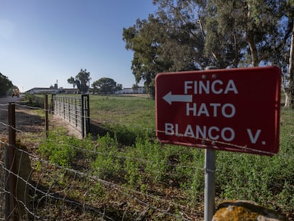 Entrada en la finca Hato Blanco Viejo, en la localidad sevillana de Aznalcázar, en 2023.