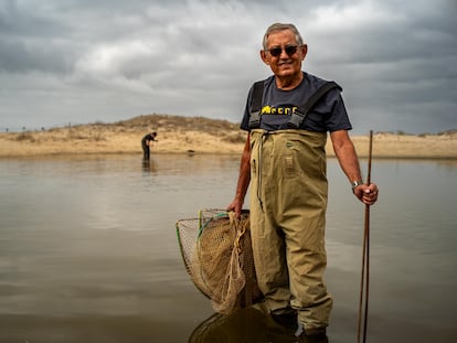 El biólogo Miguel Delibes de Castro, en una expedición para capturar cangrejos invasores en el río Cachón, junto a Zahara de los Atunes (Cádiz), el 7 de octubre.