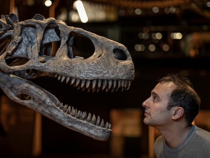 El paleontólogo Steve Brusatte, retratado en la exposición 'Dinosaurios de la Patagonia', en diciembre en CosmoCaixa (Barcelona).