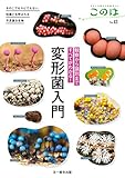 観察から識別まですべてがわかる!  変形菌入門—きのこでもカビでもない、粘菌とも呼ばれる不思議な生物 (生きもの好きの自然ガイド このは No.13)