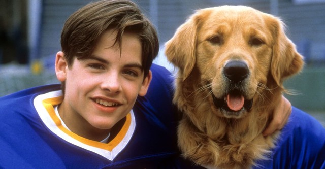 Air Bud: Champion auf 4 Pfoten