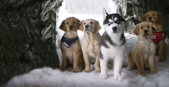 Snow Buddies