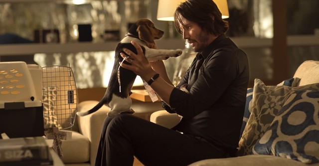 John Wick (Otro día para matar)