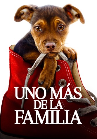 Uno más de la familia