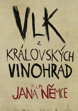 Vlk z královských Vinohrad