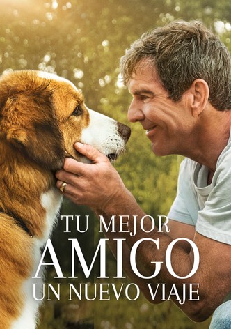 Tu mejor amigo: Un nuevo viaje