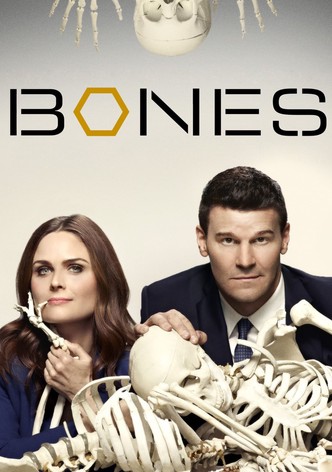 Bones