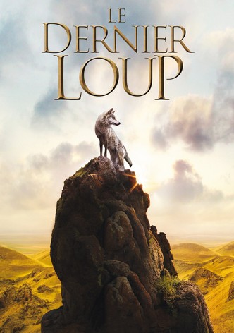 Le dernier loup