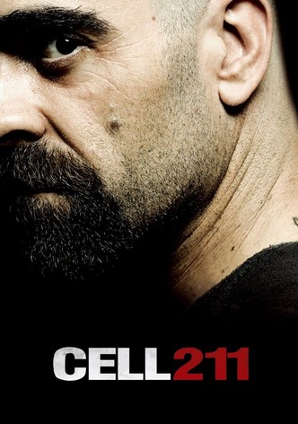 Cell 211