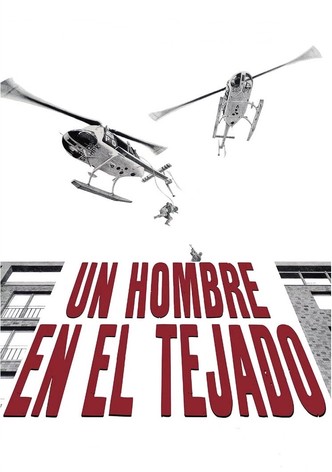 Un hombre en el tejado