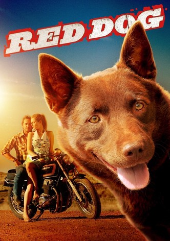 Red Dog