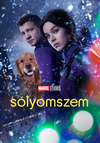 Sólyomszem