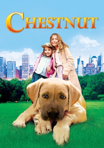 Chestnut: Hero of Central Park