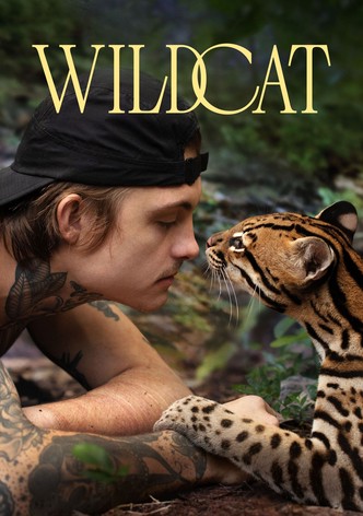 Wildcat