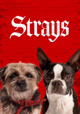 Strays