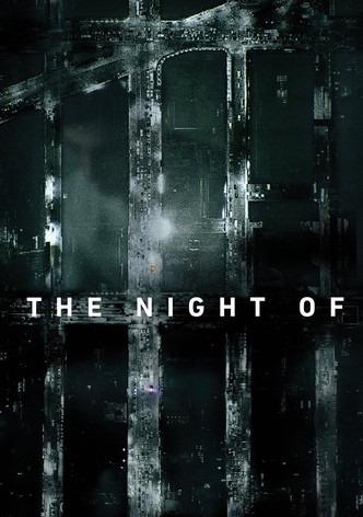 The Night Of. Un juicio a la justicia