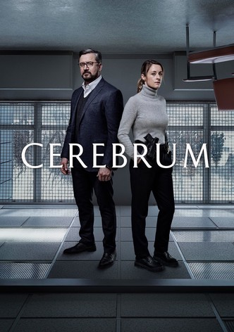 Cerebrum