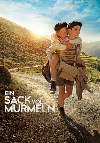 Ein Sack voll Murmeln