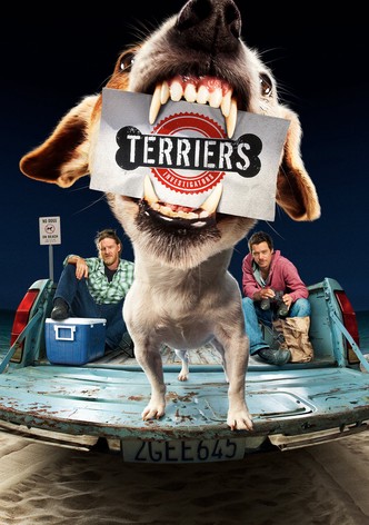 Terriers