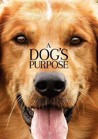 A Dog's Purpose