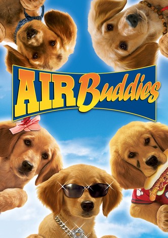 Air Buddies