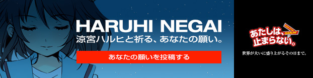 涼宮ハルヒと祈る、あなたの願い HARUHI NEGAI