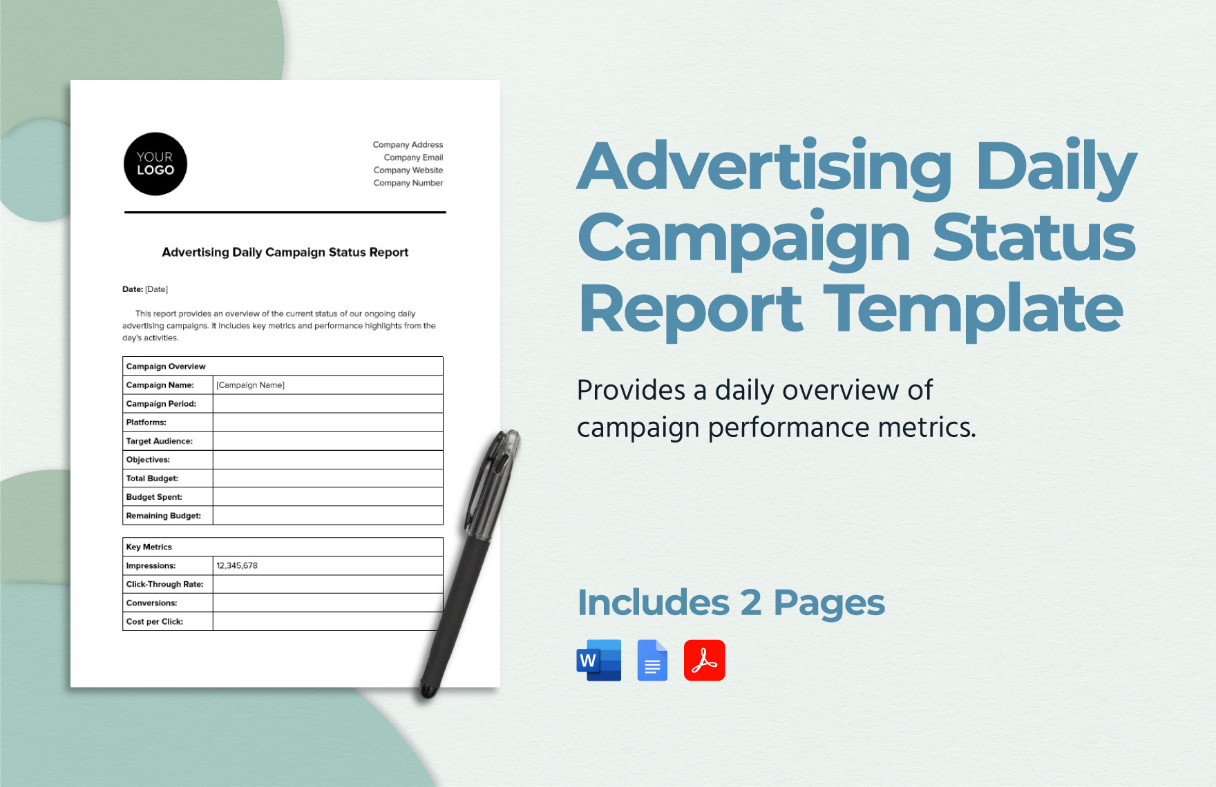 Advertising Daily Campaign Status Report Template