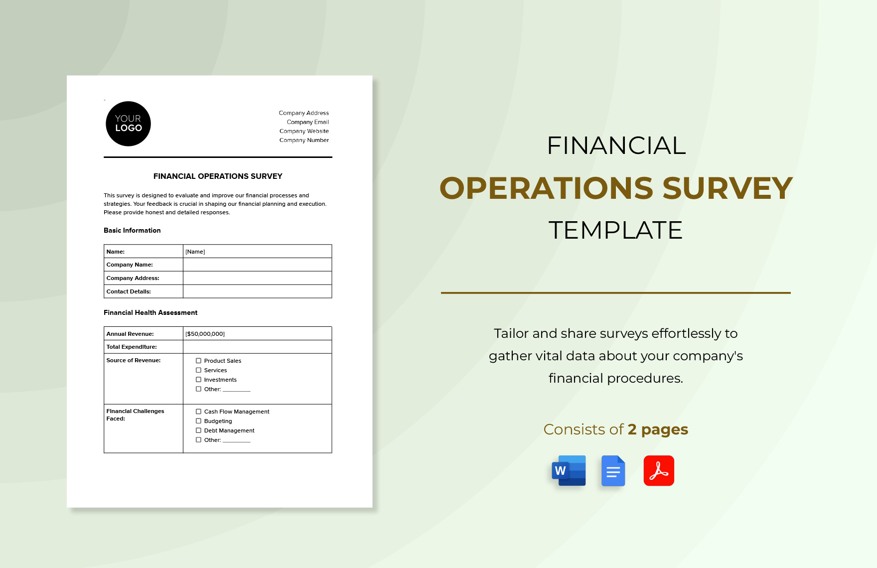 Financial Operations Survey Template