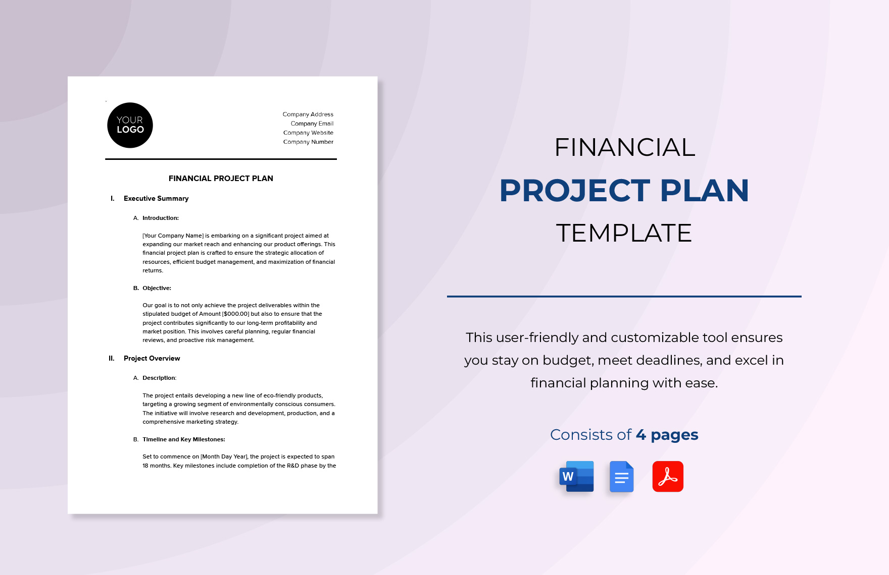 Financial Project Plan Template