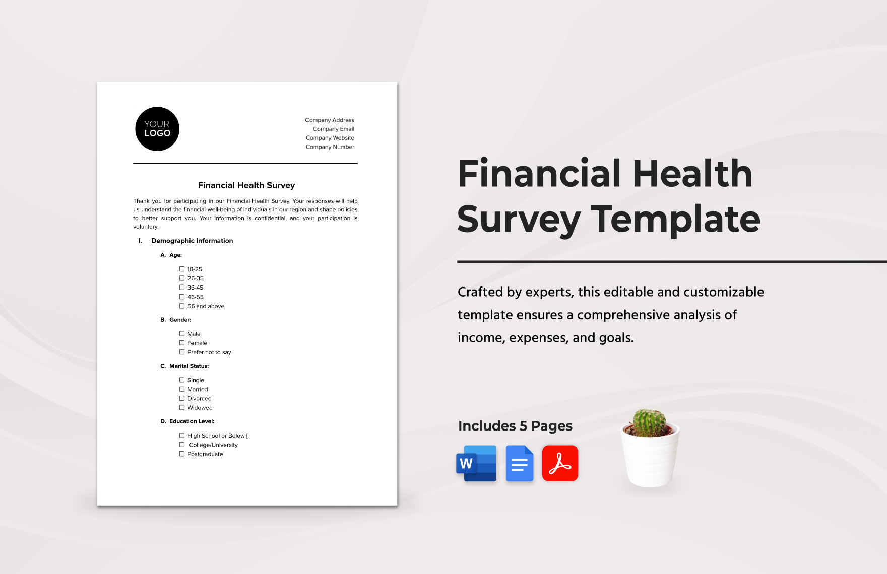 Financial Health Survey Template