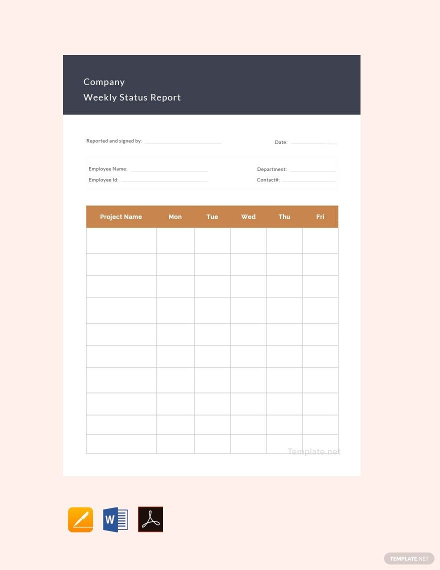 Company Weekly Status Report Template