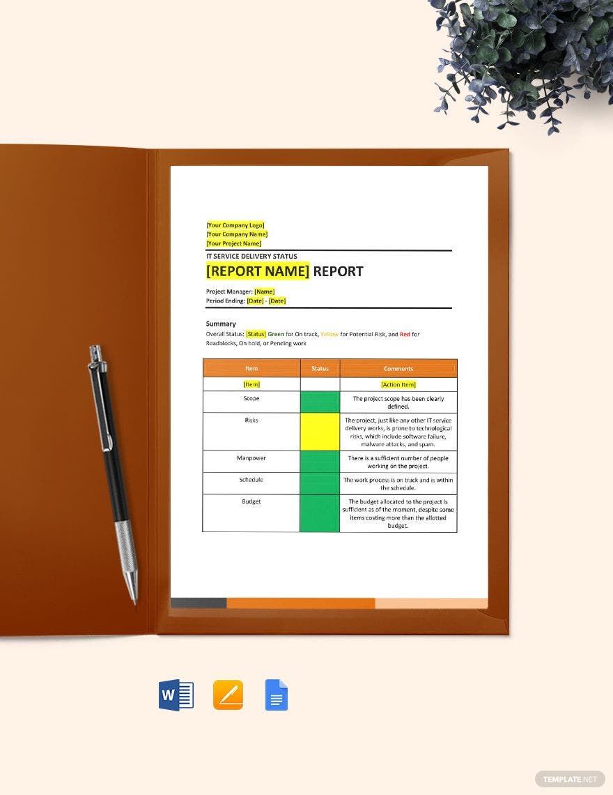 IT Service Delivery Status Report Template